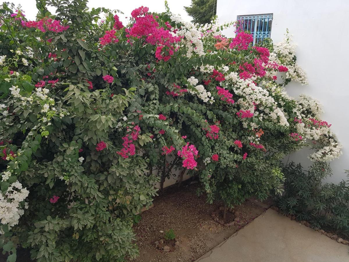 Le Dolmen De Mbour Apartment M'Bour Exterior photo